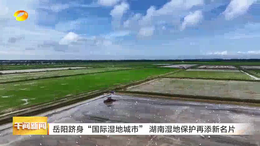 岳阳跻身“国际湿地城市” 湖南湿地保护再添新名片
