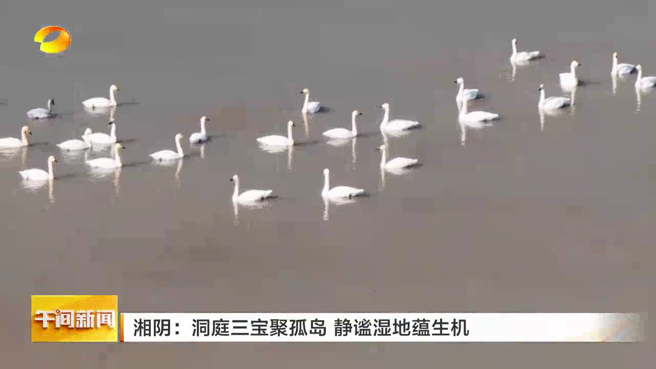 湖南湘阴：洞庭三宝聚孤岛 静谧湿地蕴生机