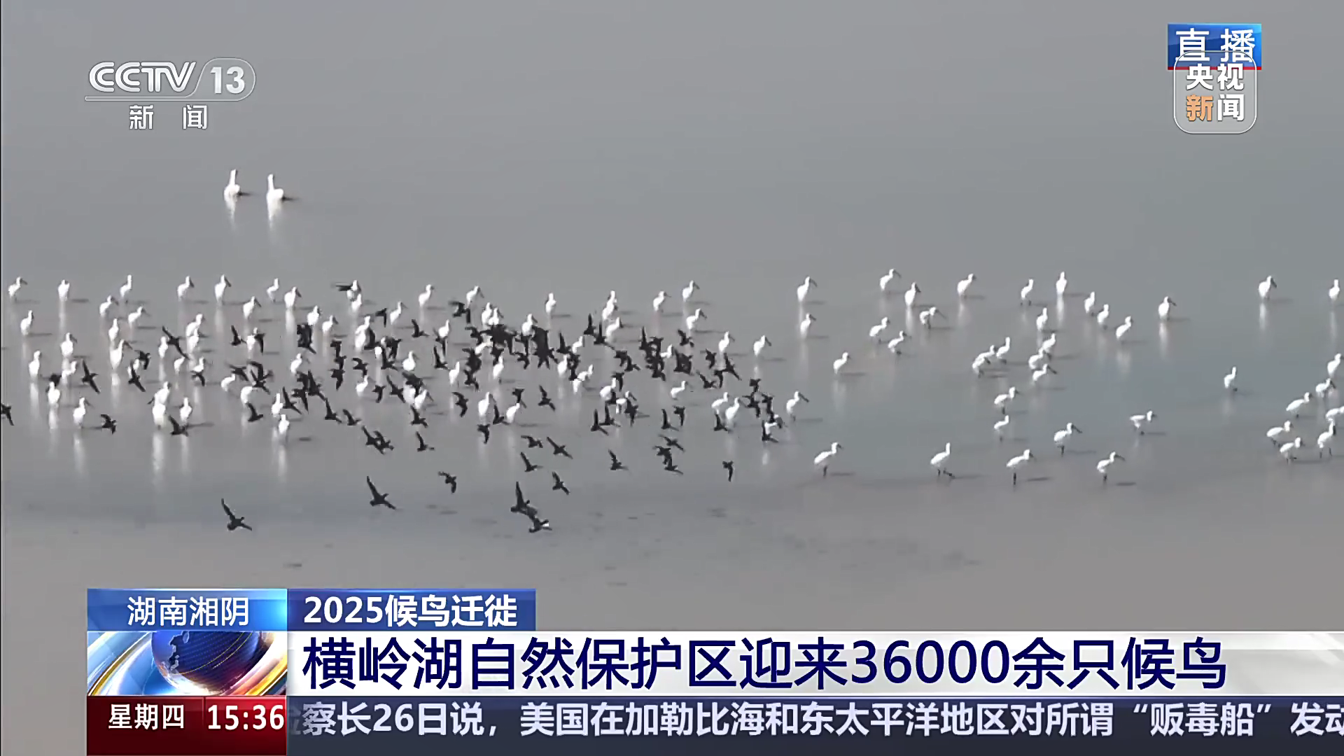湖南湘阴：横岭湖自然保护区迎来36000余只候鸟