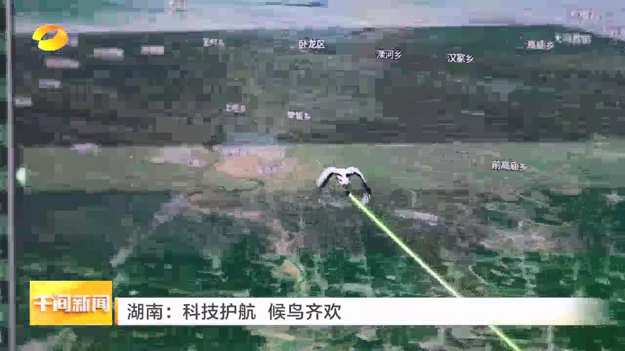 湖南：科技护航 候鸟齐欢