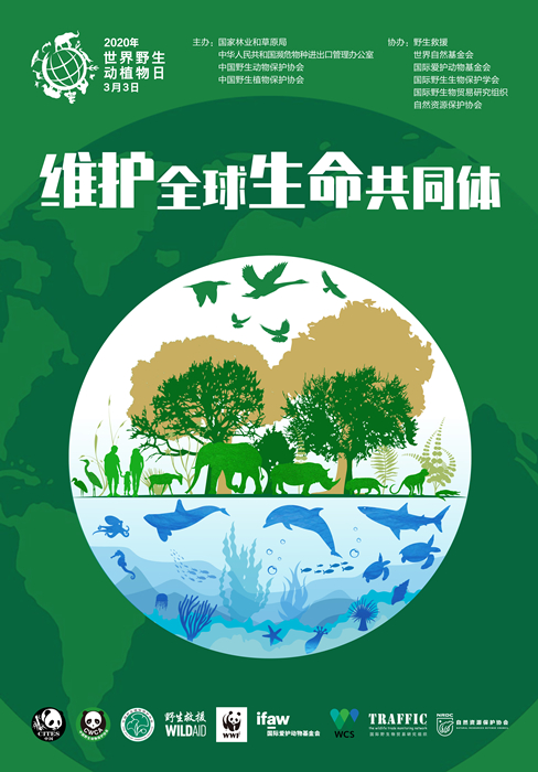 汇添富华体会- 华体会体育官网- 华体会体育APP下载中证国新央企股东回报ETF