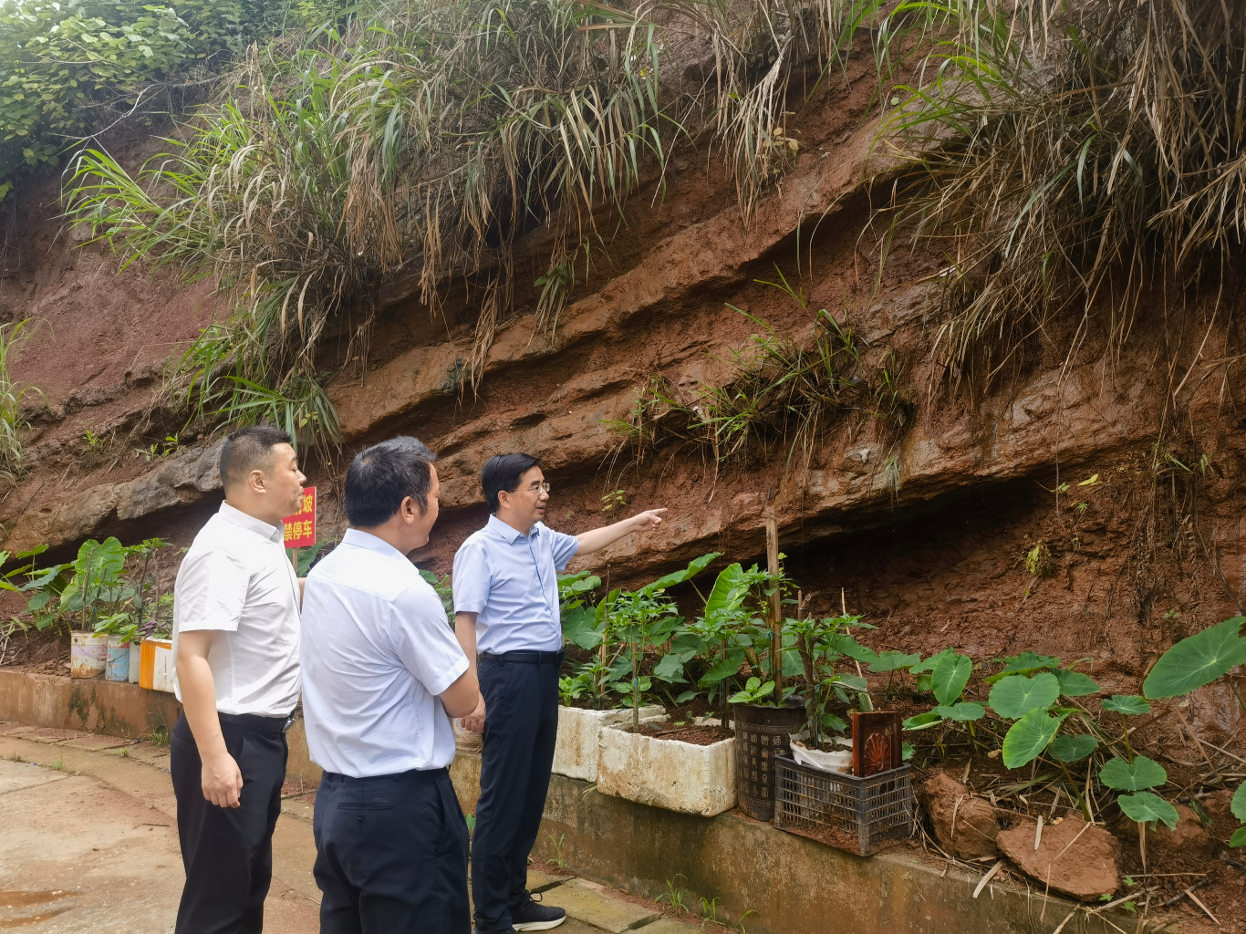 省林业局调度重点地区防汛和安全稳定工作