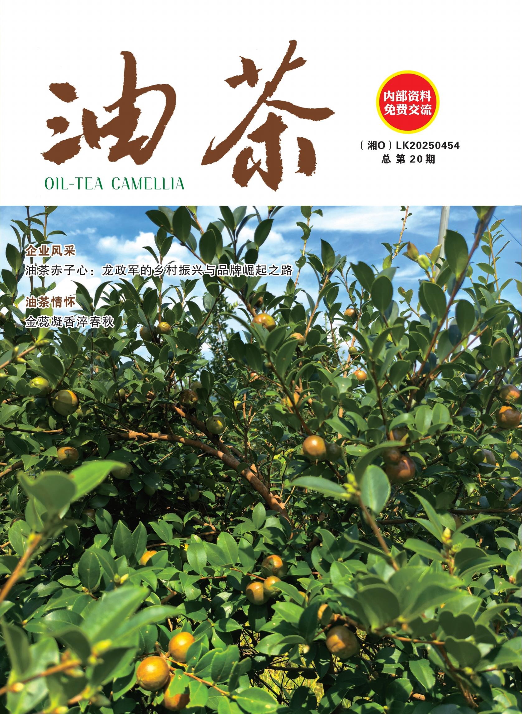 总第20期