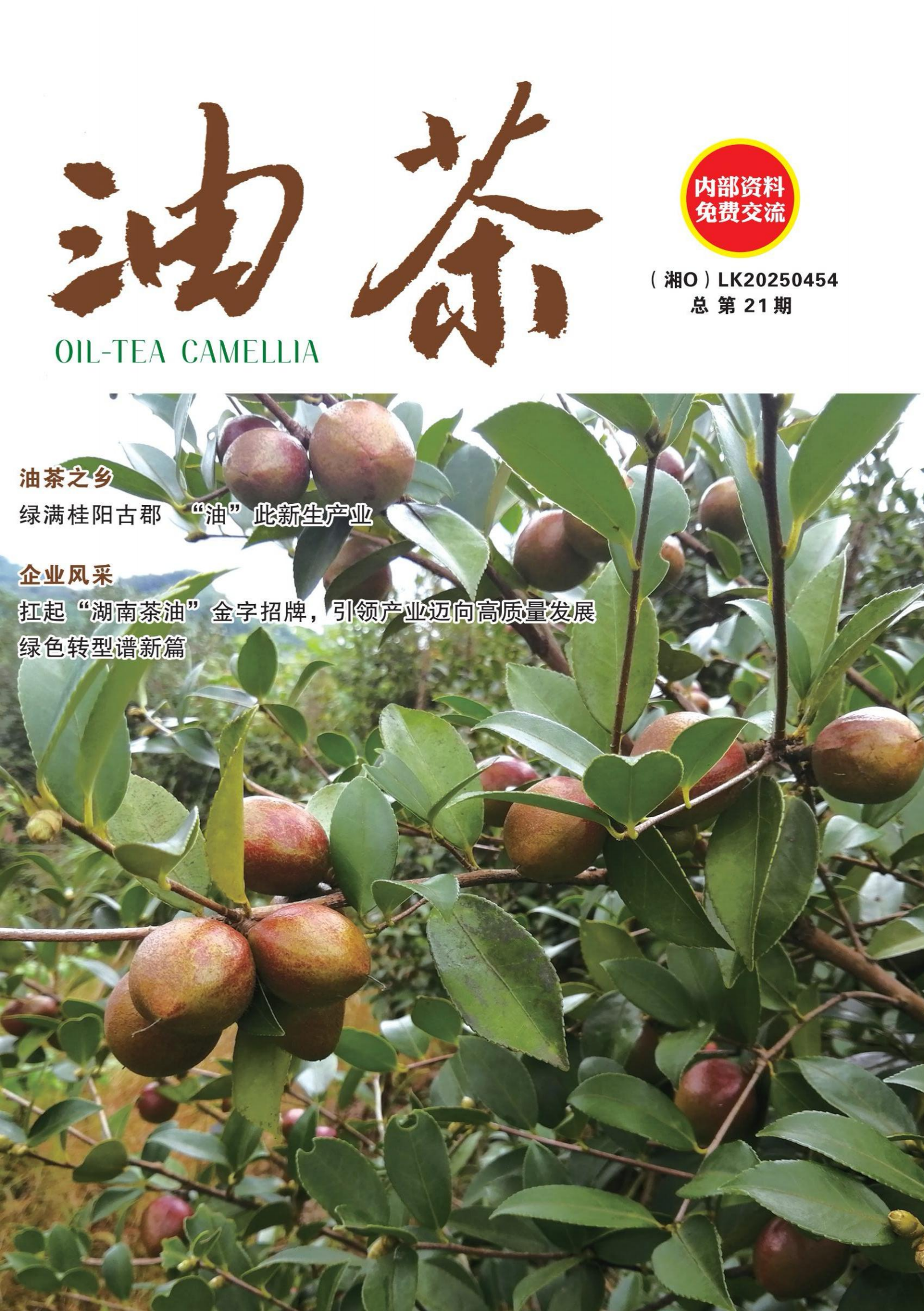 总第21期