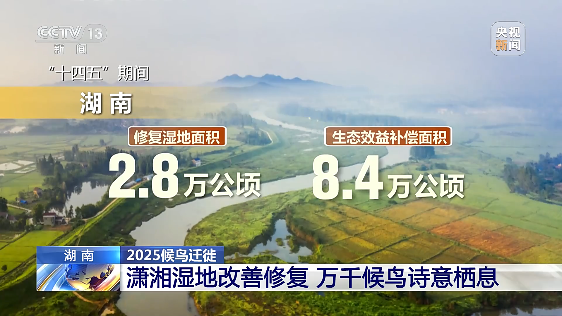 2025候鸟迁徙·湖南:潇湘湿地改善修复,万千候鸟诗意栖息