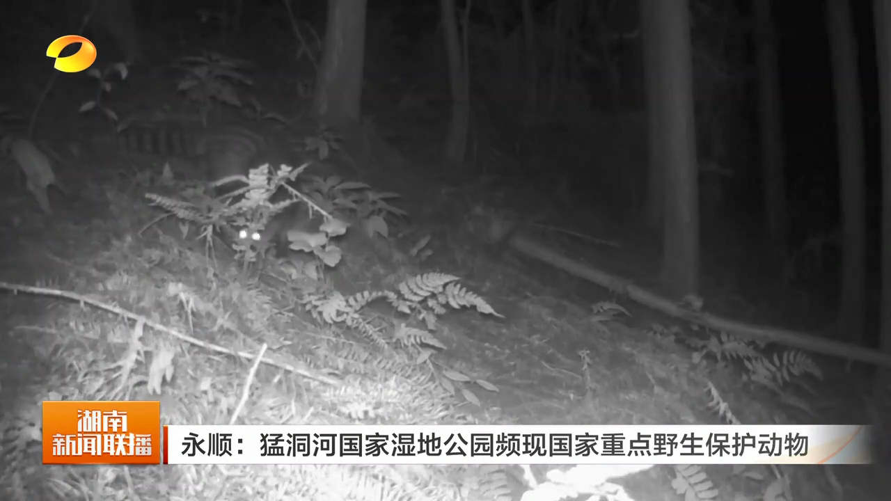 湖南永顺：猛洞河国家湿地公园频现国家重点野生保护动物