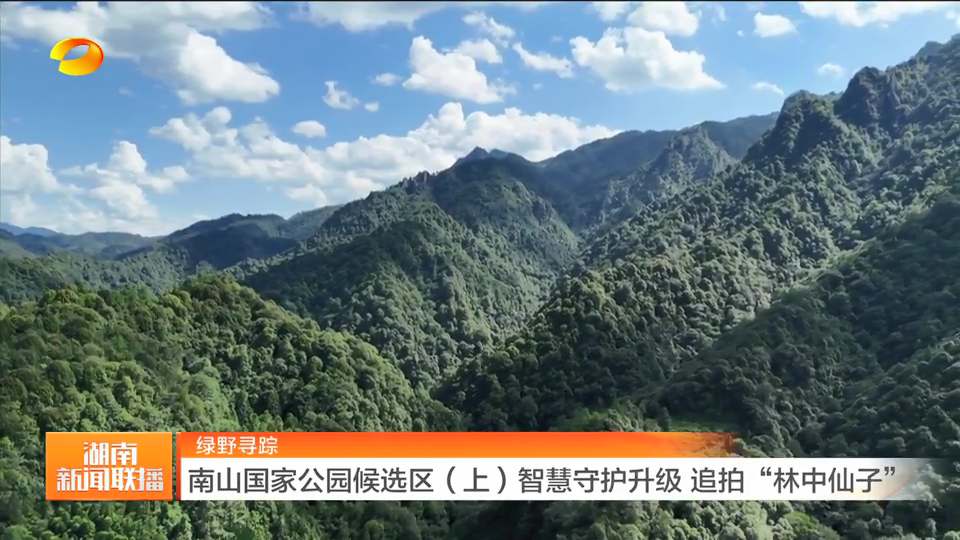 绿野寻踪 湖南南山国家公园候选区（上）智慧守护升级 追拍“林中仙子”