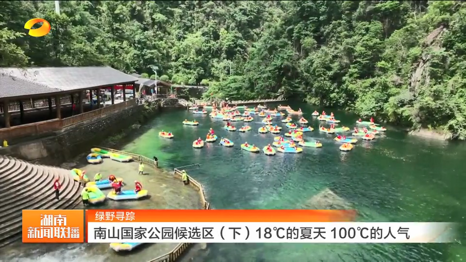 绿野寻踪 湖南南山国家公园候选区（下）18℃的夏天 100℃的人气