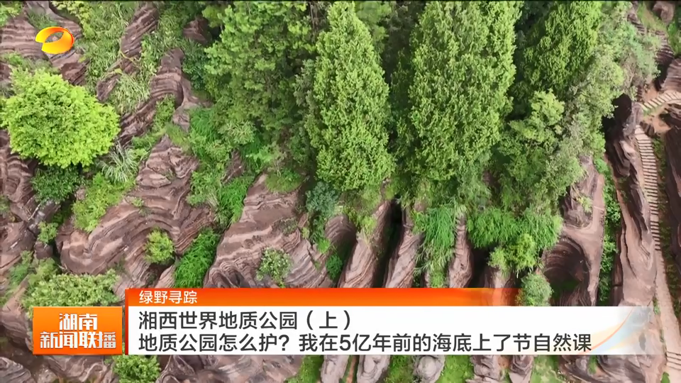 绿野寻踪 湖南湘西世界地质公园(上)地质公园怎么护?我在5亿年前的海底上了节自然课