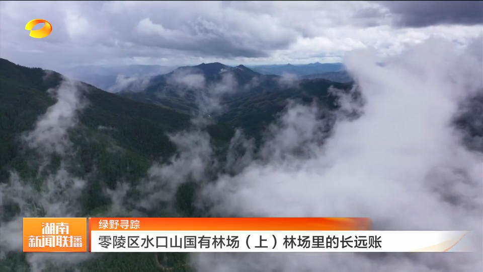 绿野寻踪 湖南零陵区水口山国有林场(上)林场里的长远账