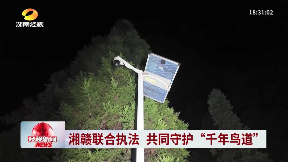 湖南:湘赣联合执法 共同守护“千年鸟道”