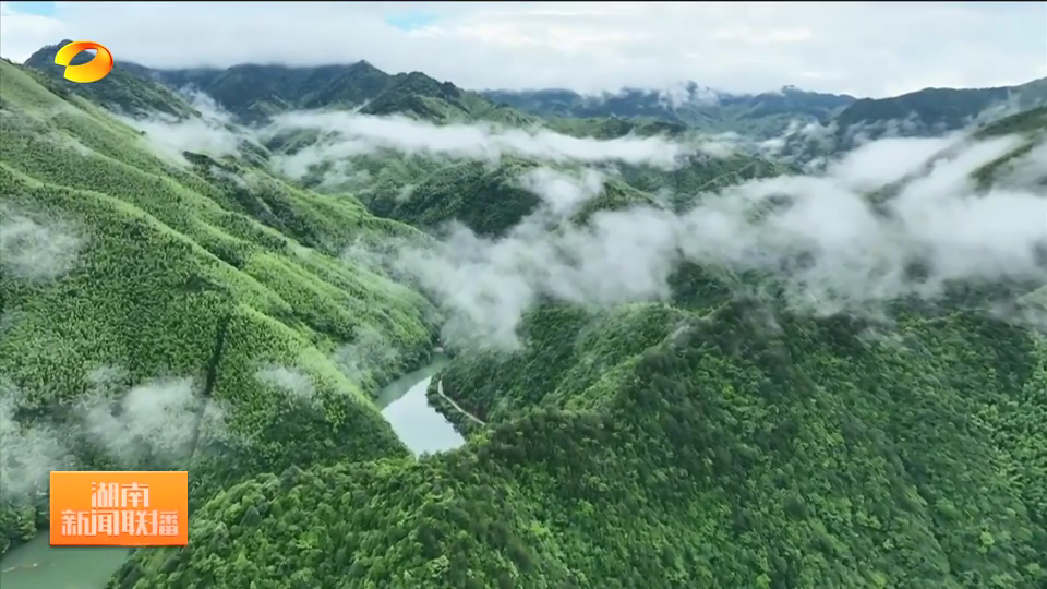 绿野寻踪 湖南阳明山森林公园(下)一溪清凉带“热”一个夏天
