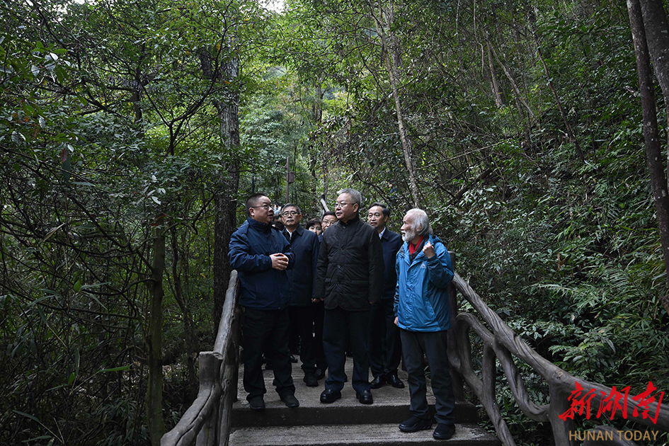 沈晓明赴郴州市开展巡林工作 全面落实林长制 守护好三湘大地的绿水青山