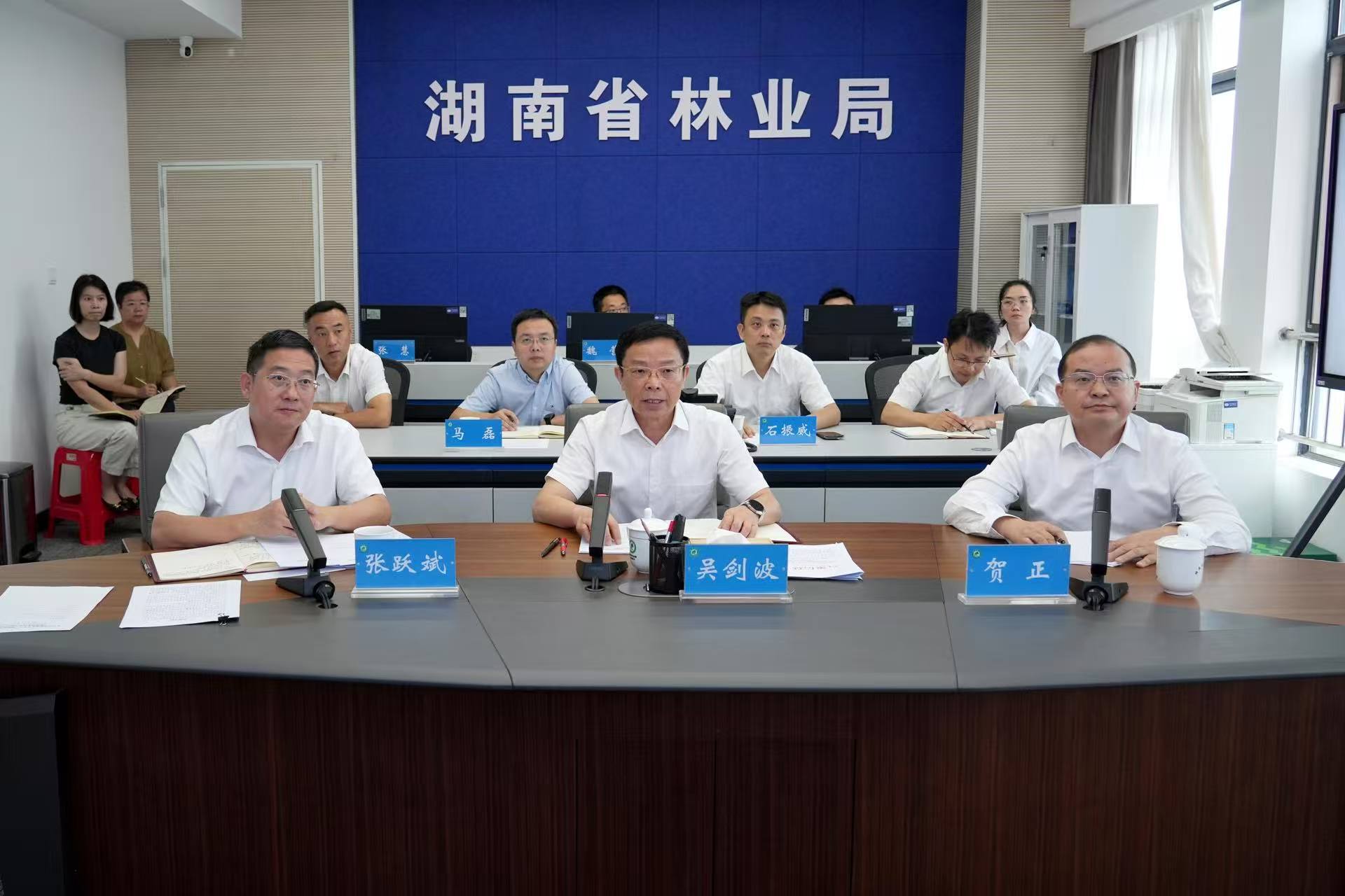 吴剑波主持召开全省林业系统安全生产、森林防火和候鸟保护视频调度会