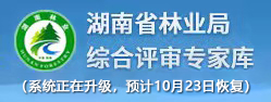 综合评审专家库